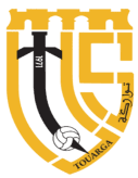 Team logo