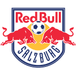 Team logo